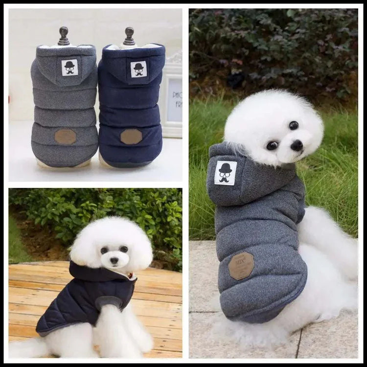 Autumn winter cotton pet clothing for dogs in gray and navy, soft warm hooded dog jackets
