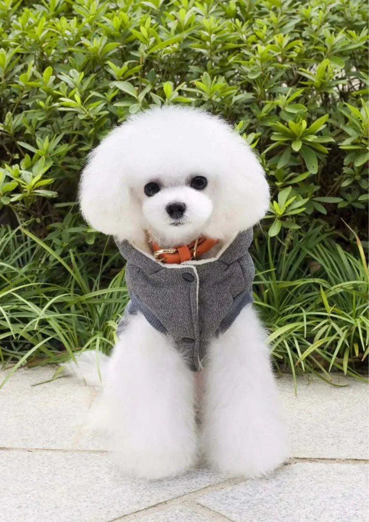 Pet Clothing