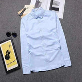 Professional Shirts for Business Men