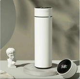 Smart Temperature Display