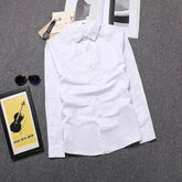 Professional Shirts for Business Men