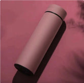 Smart Temperature Display