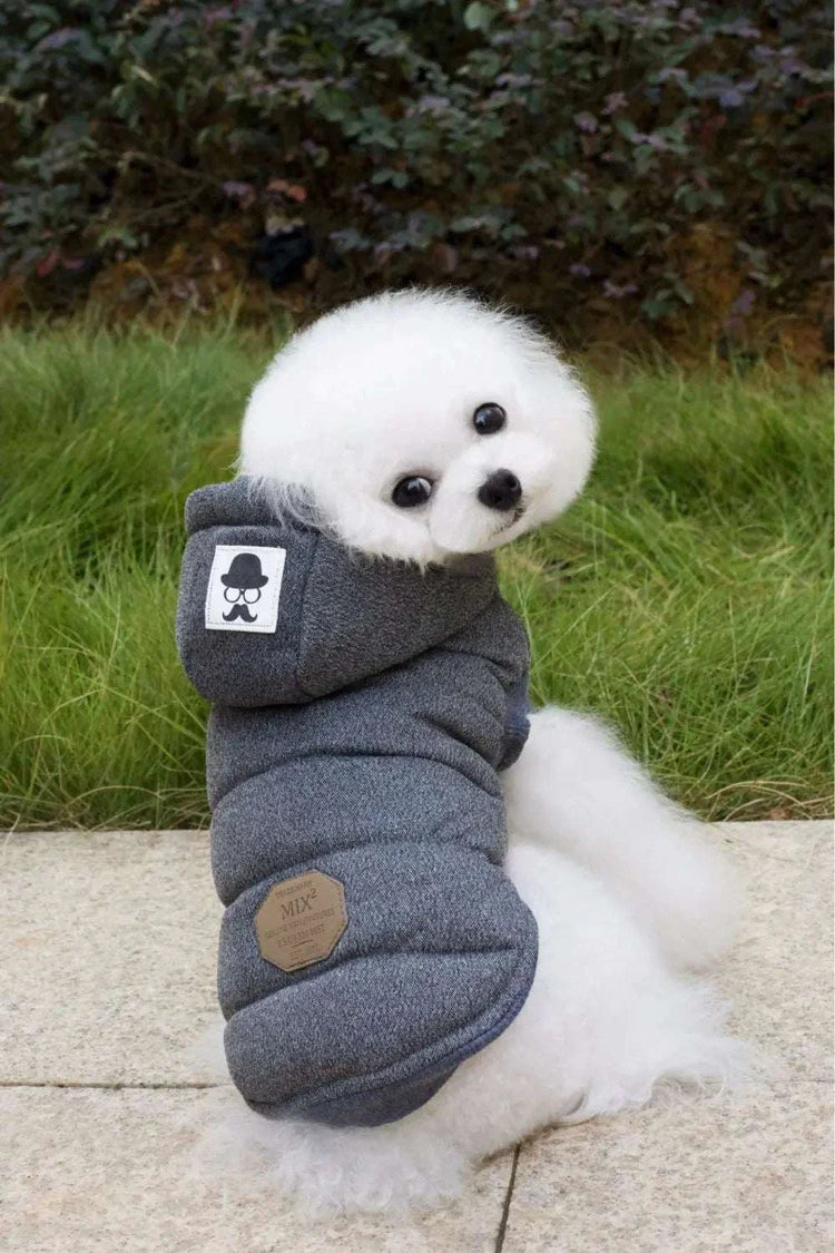 Pet Clothing